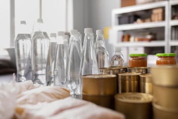 Eskişehir Böcek İlaçlama - Gıda Üretim ve Depolama Alanları İlaçlama Hizmeti